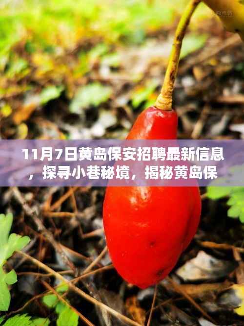 第1553页