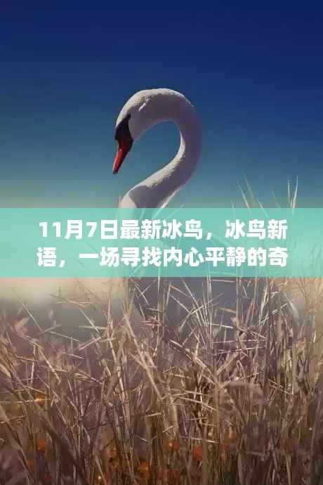 联系我们 第386页
