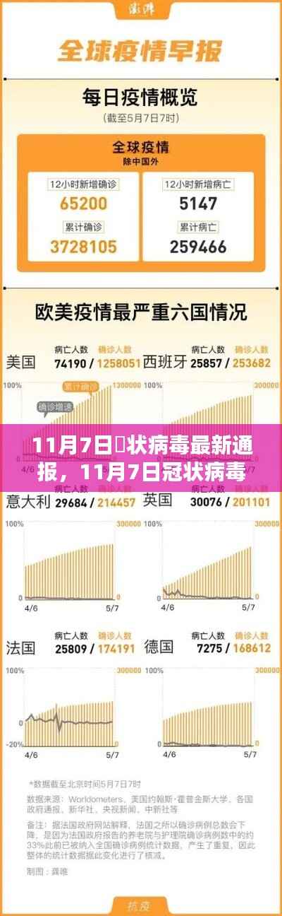 全球疫情动态,冦状病毒最新通报与应对策略分析(11月7日更新)