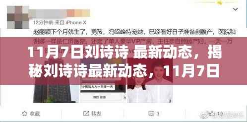 揭秘刘诗诗最新动态,星光闪耀的11月7日纪实