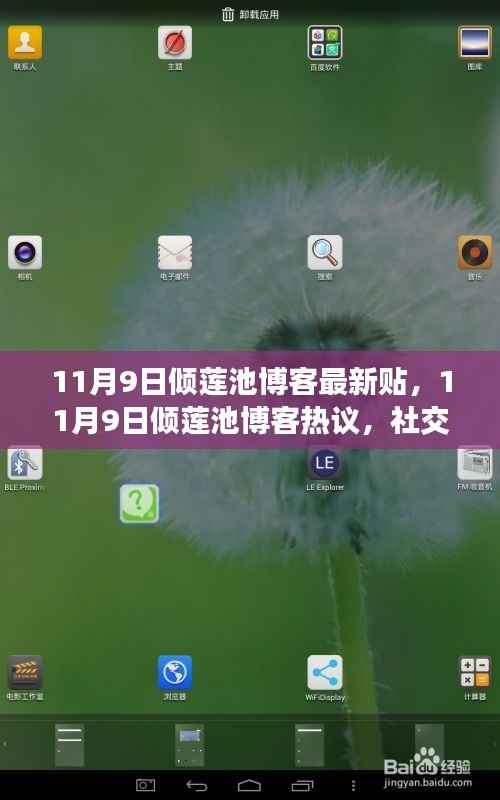 精品展示 第379页