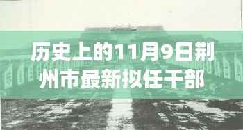 花开无言 第18页