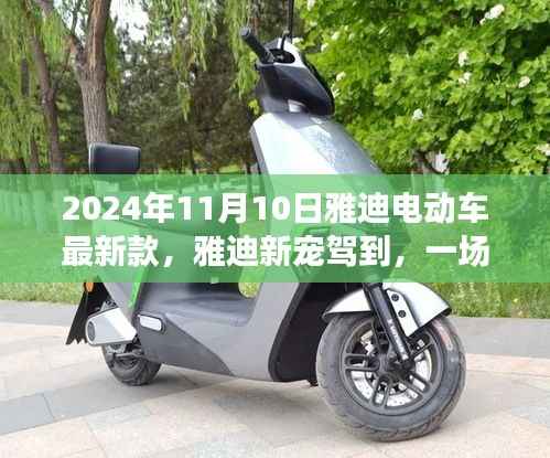 雅迪新宠驾到,电动车之旅的温馨启程,探索最新款电动车的魅力(2024年11月10日)