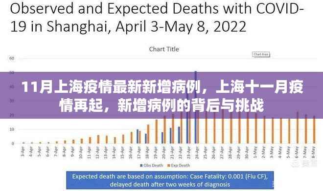 上海十一月疫情再起,新增病例背后的挑战与应对