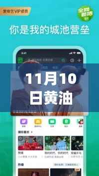 11月10日黄油软件最新版下载指南,功能亮点与操作详解