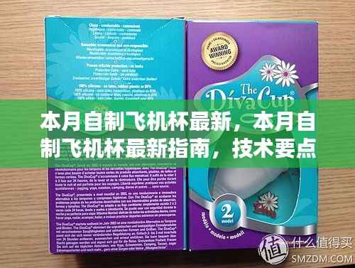 本月自制飞机杯最新指南,技术要点、科普解析与涉黄问题解析