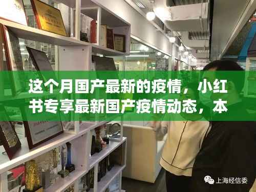 小红书专享解读,最新国产疫情动态深度解析与应对策略本月更新