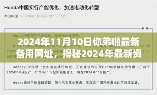 揭秘2024年非法资源分享网站新入口,警惕违法犯罪行为风险警告!