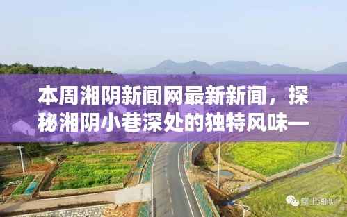 湘阴新闻网本周揭秘,小巷深处的独特风味与新闻背后的故事