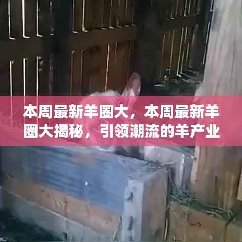 回眸最初 第17页
