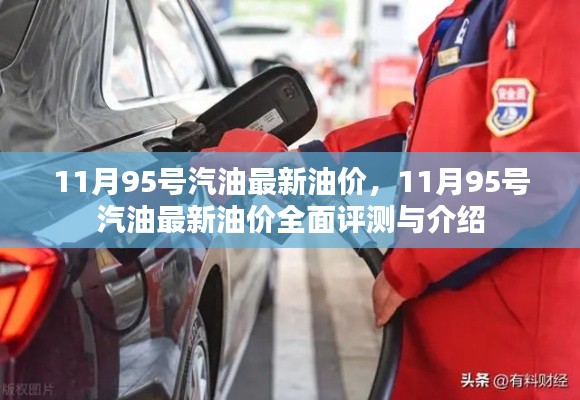 11月95号汽油最新油价全面评测与介绍