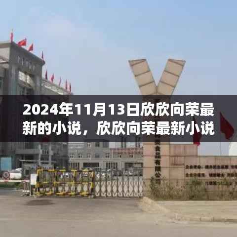 欣欣新作心之彼岸,文学价值探讨与深度解读,2024年11月13日发表内容为中心