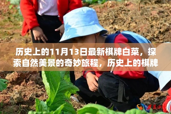 历史上的棋牌白菜与心灵之旅,自然美景的奇妙探索