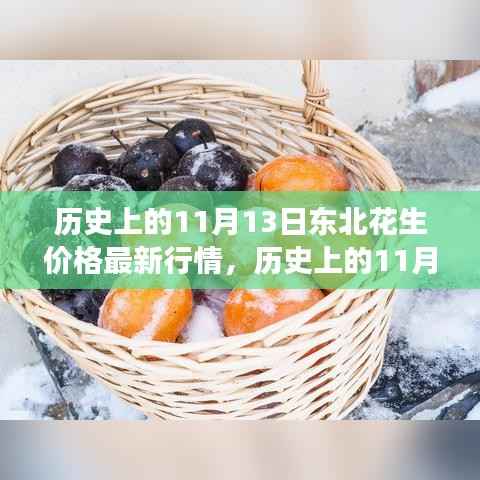九死一生 第16页