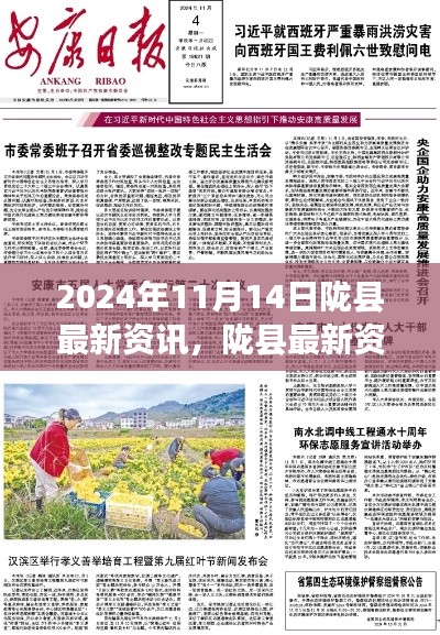2024年11月14日陇县最新资讯焦点解读