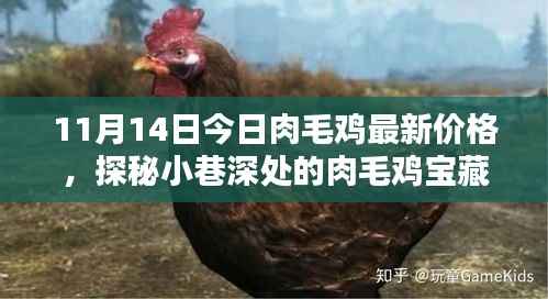 心急如焚 第14页