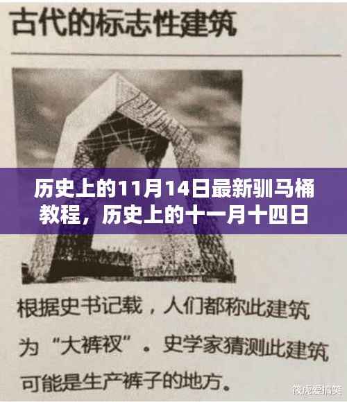 揭秘驯马桶教程,开启智慧生活新篇章的历史时刻(十一月十四日最新教程)