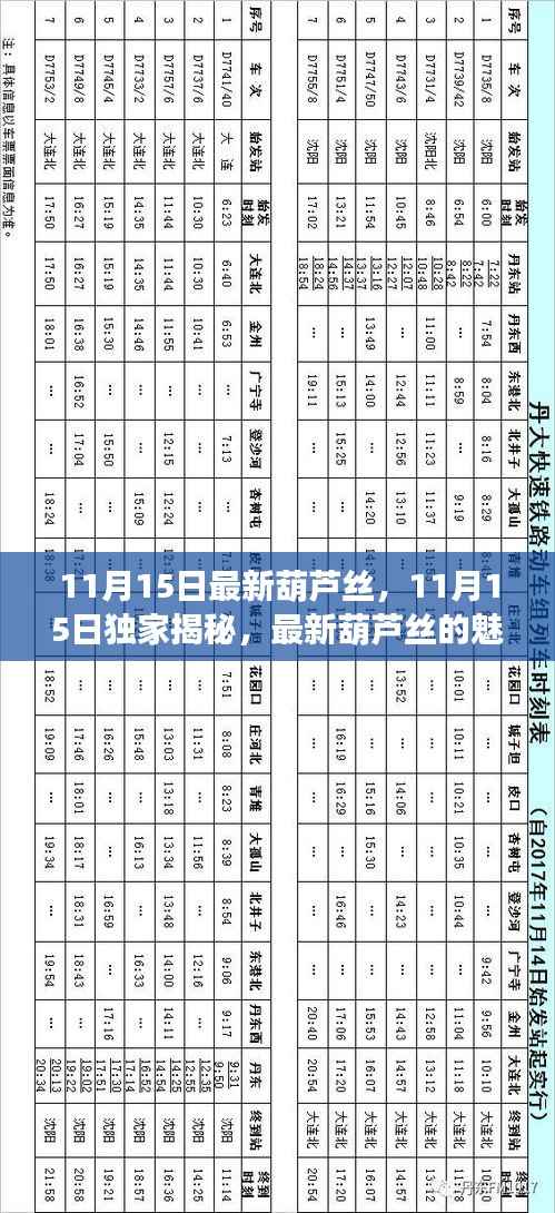 独家揭秘,最新葫芦丝的魅力与独特之处(11月15日更新)