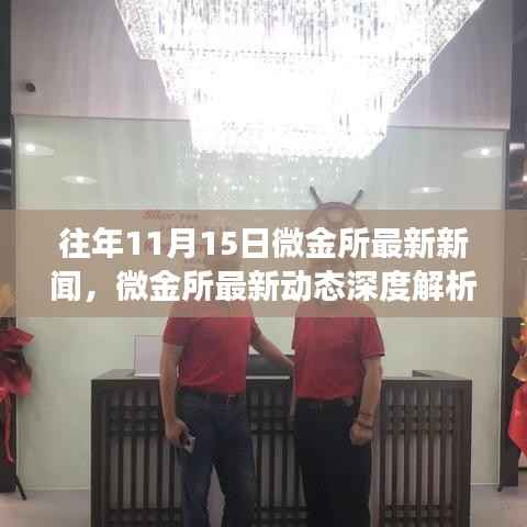 微金所11月15日最新动态深度解析,产品特性与用户体验全面剖析