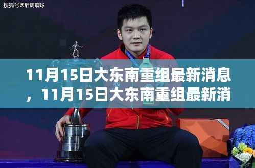 11月15日大东南重组最新消息深度解析与观点阐述