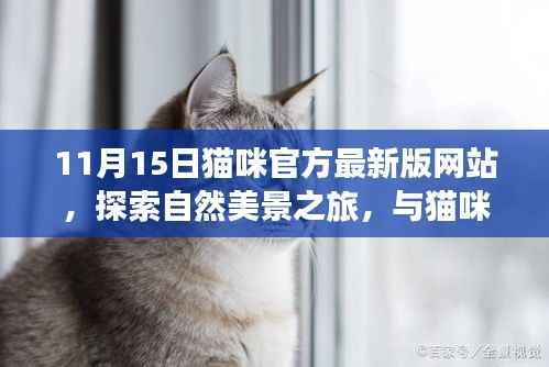 初遇在故事开头 第14页