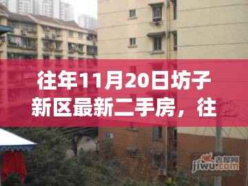 往年11月20日坊子新区二手房市场深度解析与最新房源概览