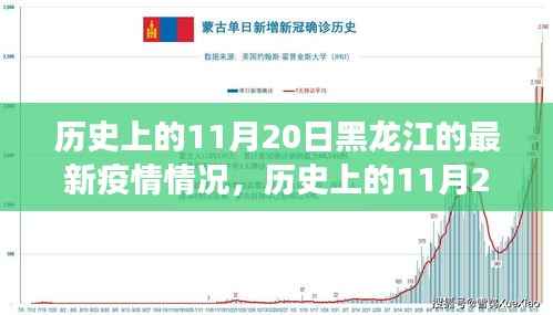 历史上的11月20日黑龙江的最新疫情情况,历史上的11月20日黑龙江疫情深度解析,最新动态与多维对比观察
