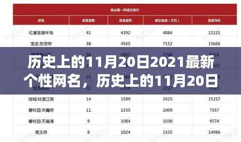 历史上的11月20日与独特个性网名背后的故事与趋势演变探寻记