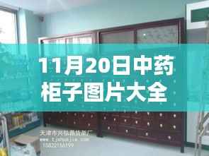 九死一生 第12页