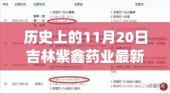 历史上的11月20日吉林紫鑫药业最新动态，探寻自然美景，心灵之旅启程