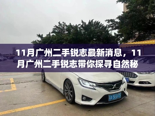 11月广州二手锐志最新动态,探寻自然秘境的心灵之旅启程