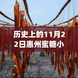 历史上的11月22日惠州蜜糖小城最新房价，惠州蜜糖小城，科技重塑房价，体验未来居住新纪元