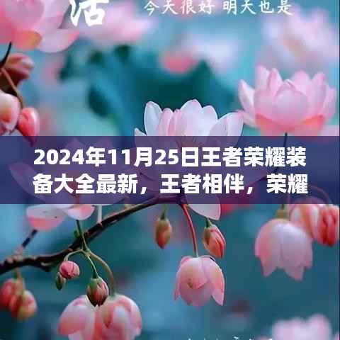 王者相伴,荣耀装备下的暖心日常 2024年王者荣耀装备最新指南