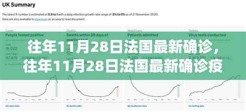 往年11月28日法国最新确诊，往年11月28日法国最新确诊疫情分析，观点阐述与深度解读