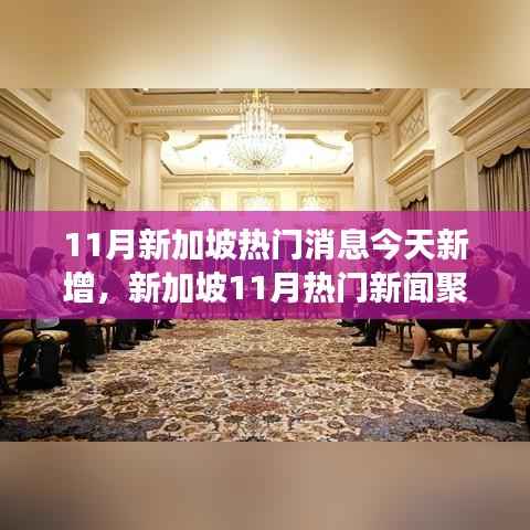 11月新加坡热门新闻聚焦,今日新增事件深度解析与个人观点阐述