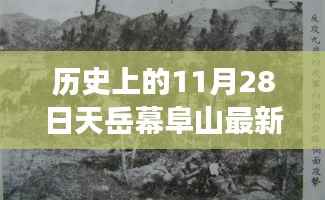 admin 第8页