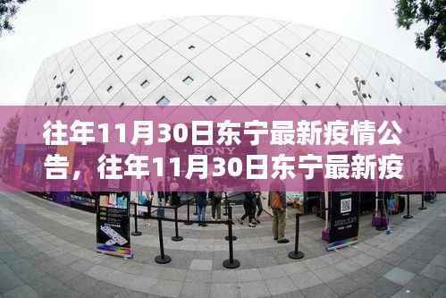 往年11月30日东宁疫情公告详解,全面评测与介绍