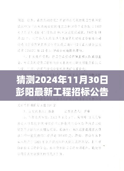 2024年11月30日彭阳工程招标公告预测与深度解读