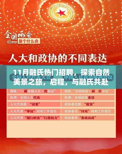 融氏十一月热门招聘，共赴自然美景的探索之旅