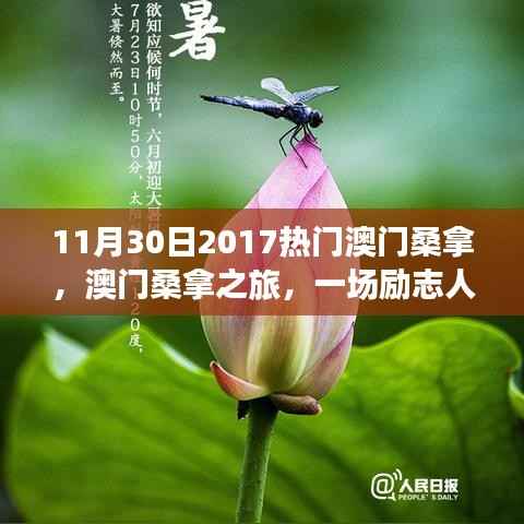 澳门桑拿之旅,励志人生与自我革新的热浪挑战