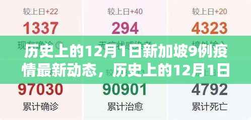历史上的12月1日新加坡疫情动态，挑战与机遇的交织分析