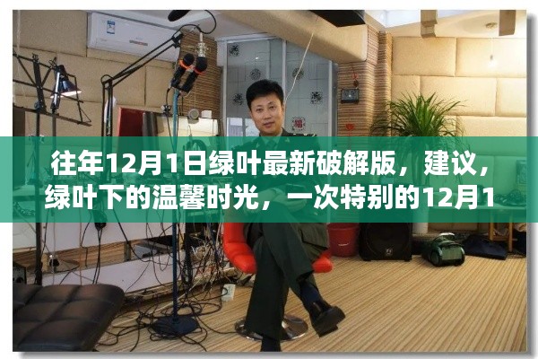 绿叶下的犯罪警示，一次特别的聚会背后的法律风险解读。