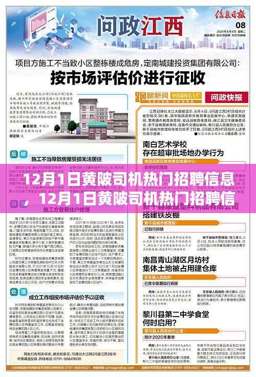 12月1日黄陂司机热门招聘信息汇总,行业分析与求职指南
