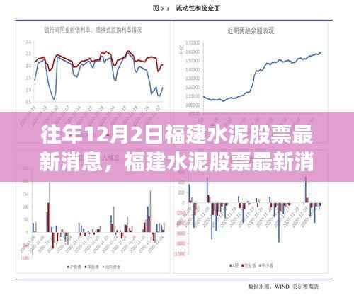 福建水泥股票最新动态,深度解读与观点博弈(往年12月2日)