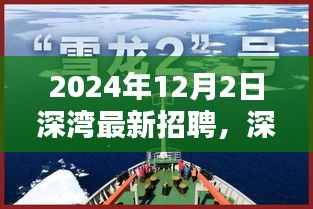 深湾新篇章招聘启幕,探索自然美景,寻找宁静港湾之旅