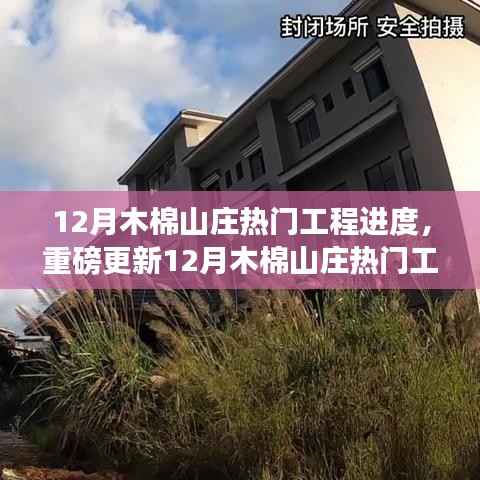 揭秘12月木棉山庄最新工程进度,热门工程重磅更新与最新动态抢先看