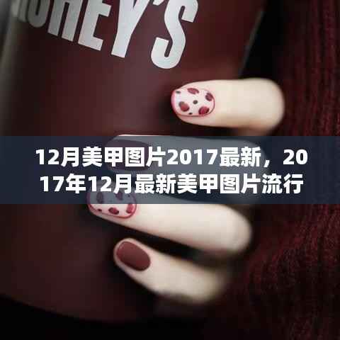 精品展示 第280页