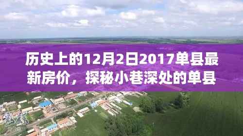 探秘单县房价奥秘,历史、现状与独特风情的小巷故事及特色小店体验纪实