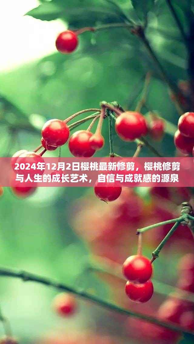 樱桃修剪与人生成长艺术,自信与成就感的源泉,2024年修剪新篇章