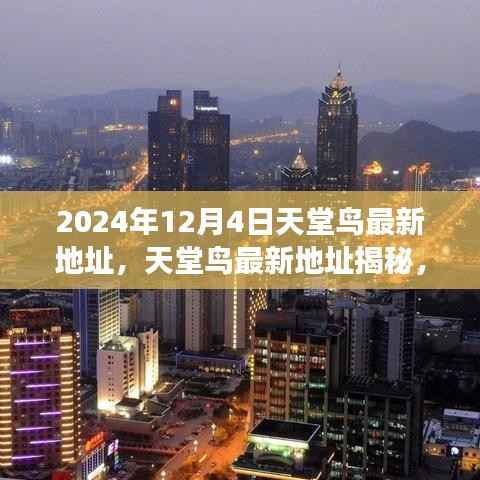 天堂鸟最新地址揭秘，背景、影响与时代变迁的探寻